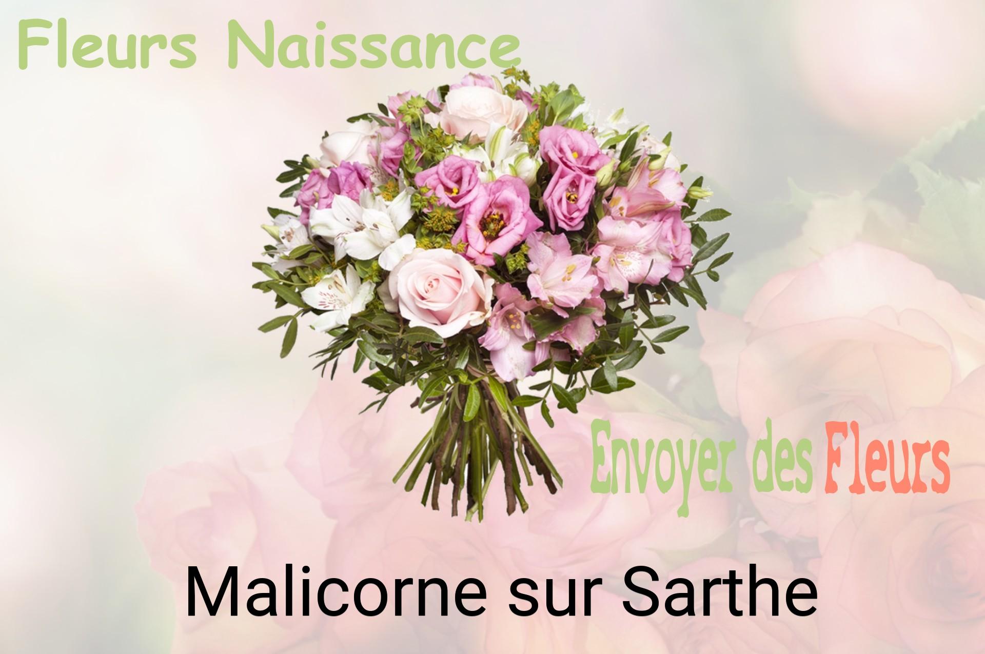 Bouquet de fleurs de naissance livré à Malicorne-sur-Sarthe
